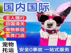 昭苏天马空运代理国际宠物托运 【国